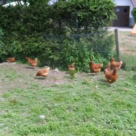 Spacieux Et Confortable Au Val D'ajol, à Proximité De Plombières-les-bains, Animaux De Ferme ! - Fr-1-589-139 *