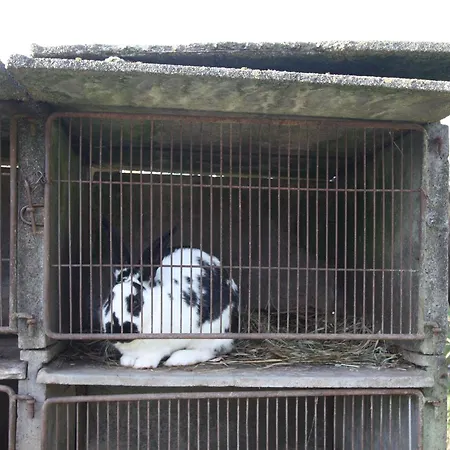 Spacieux Et Confortable Au Val D'ajol, à Proximité De Plombières-les-bains, Animaux De Ferme ! - Fr-1-589-139