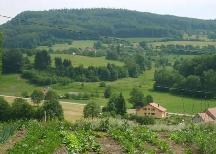 Spacieux Et Confortable Au Val D'ajol, A Proximite De Plombieres-les-bains, Animaux De Ferme ! - Fr-1-589-139 Prázdninový dům