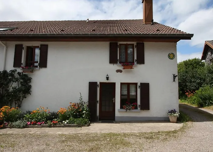 Spacieux Et Confortable Au Val D'ajol, A Proximite De Plombieres-les-bains, Animaux De Ferme ! - Fr-1-589-139 Prázdninový dům