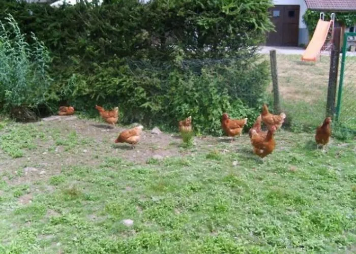 Spacieux Et Confortable Au Val D'ajol, A Proximite De Plombieres-les-bains, Animaux De Ferme ! - Fr-1-589-139 *