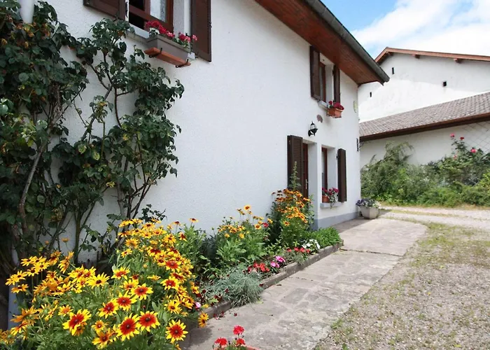 Spacieux Et Confortable Au Val D'ajol, A Proximite De Plombieres-les-bains, Animaux De Ferme ! - Fr-1-589-139 Prázdninový dům